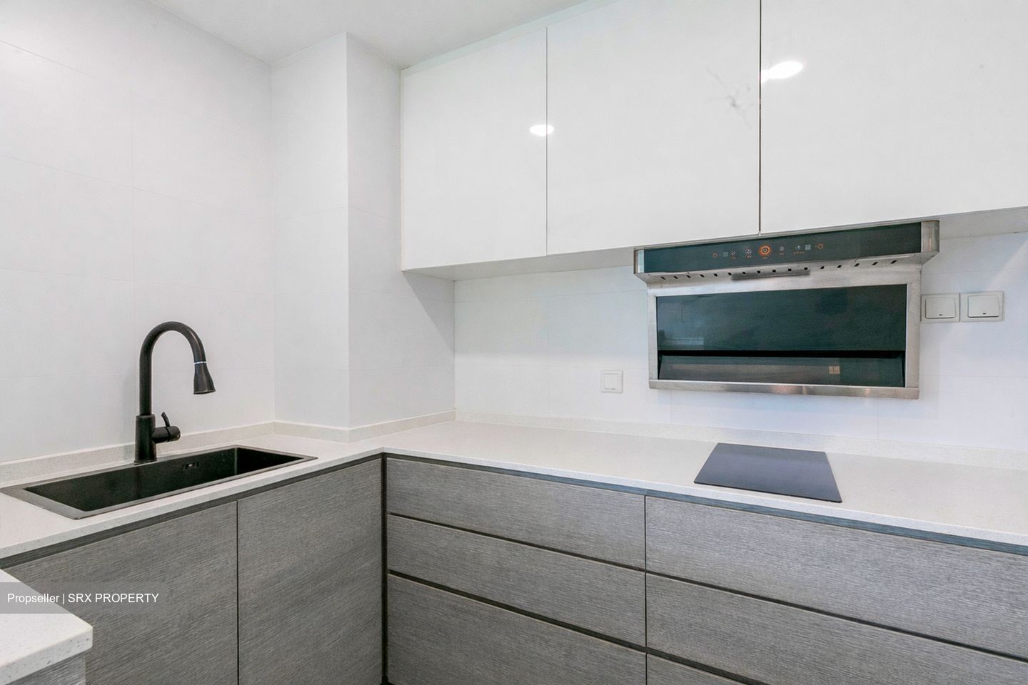 Sunshine Plaza (D7), Apartment #541041671